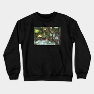 Kaleidoscope Diary Wind Music Crewneck Sweatshirt